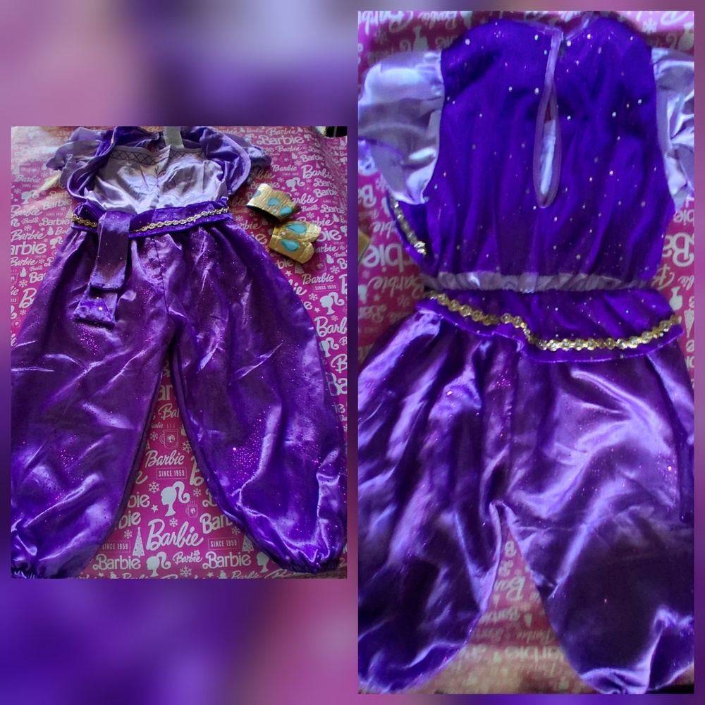 Nickelodeon SHIMMER Purple Gold GIRLS Costume Size 4-6T EUC - Picture 3 of 12